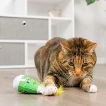 Kitty Catnip Toy