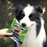 Protein-Packed Dog Chow